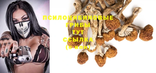 PSILOCYBIN Абдулино