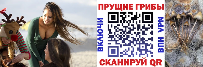Галлюциногенные грибы MAGIC MUSHROOMS Заринск